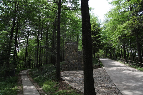 1437464682821034.jpg 大坑森林公園2.jpg