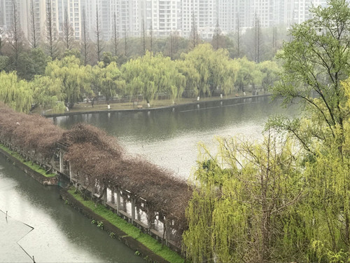 1490674521766470.jpg QQ圖片20170328123433.jpg